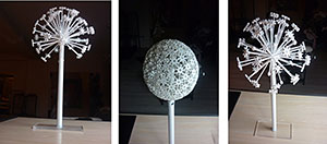 Flower model